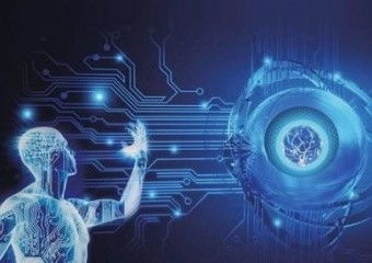 廈門觀魚者科技 一體化營銷優(yōu)勢驅(qū)動全方位互聯(lián)網(wǎng)推廣